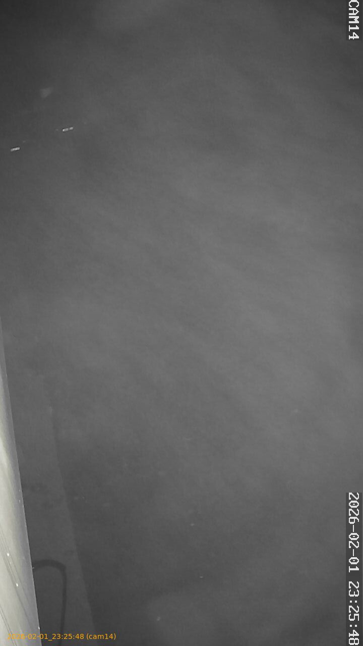 thumbnail_20260201232548