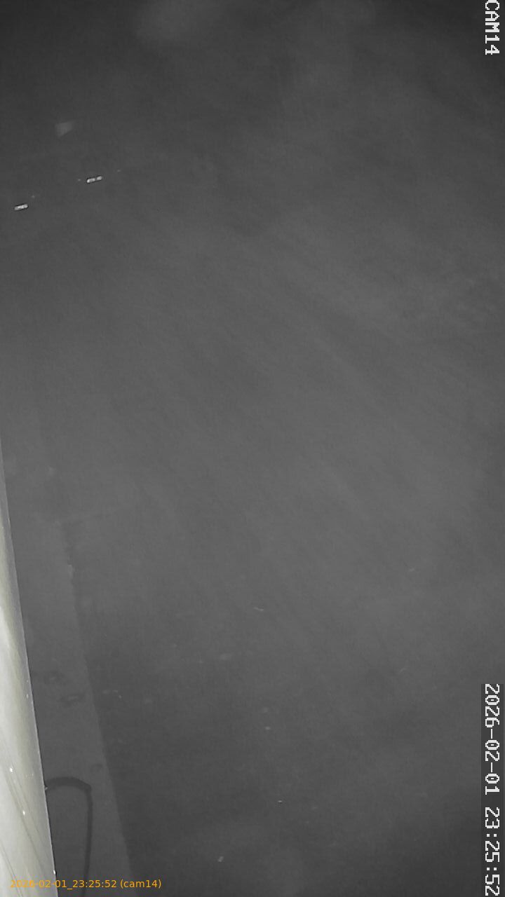 thumbnail_20260201232552