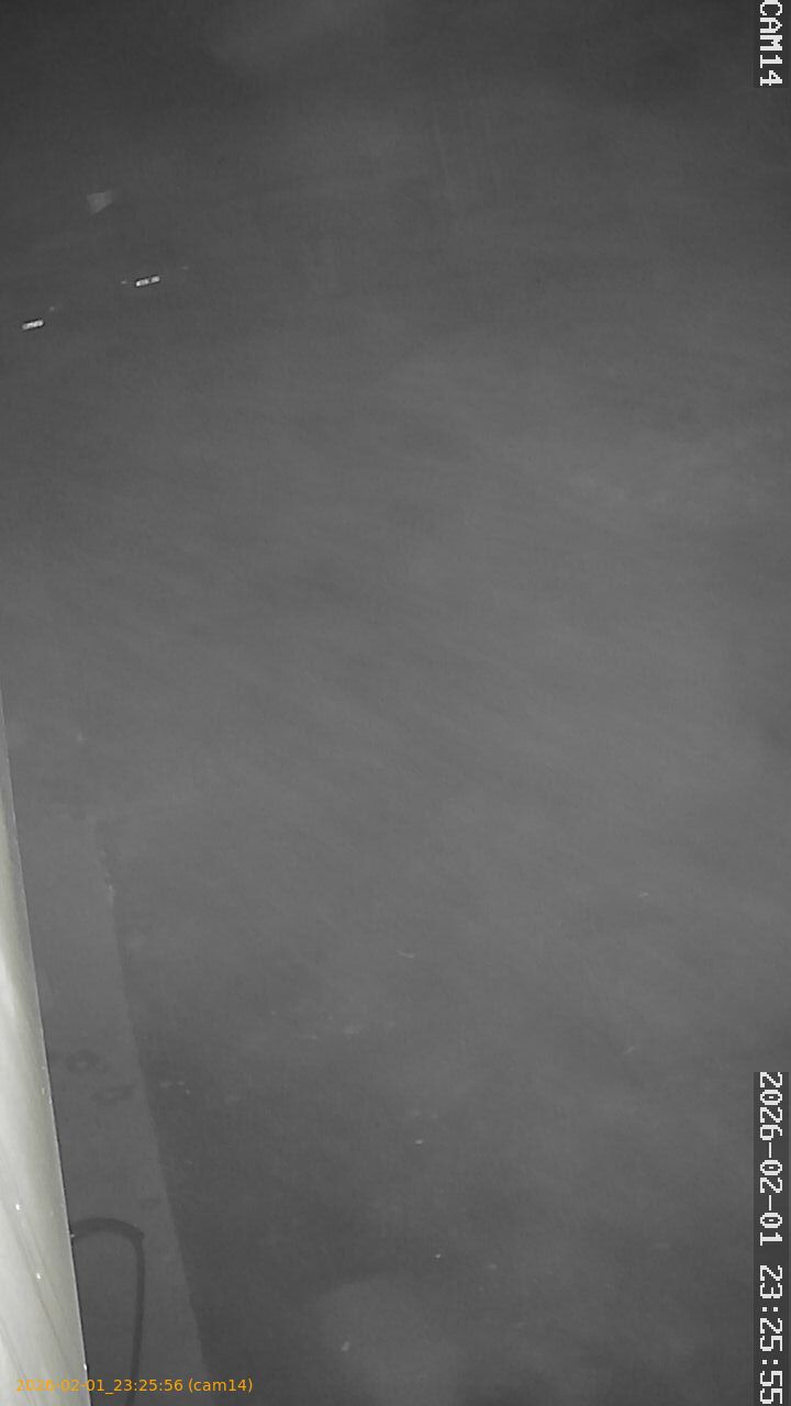 thumbnail_20260201232555