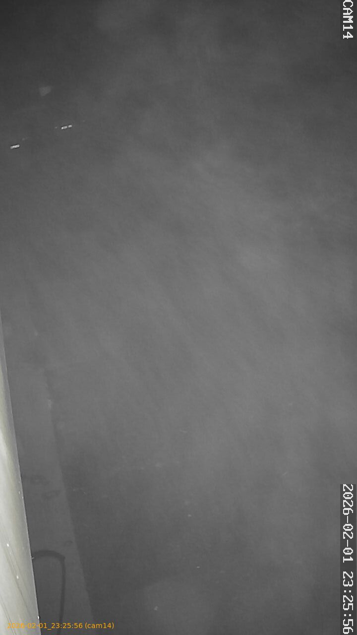 thumbnail_20260201232556