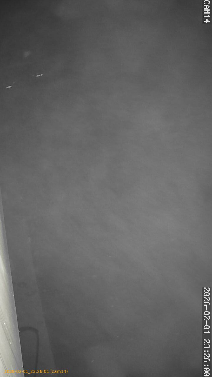 thumbnail_20260201232601