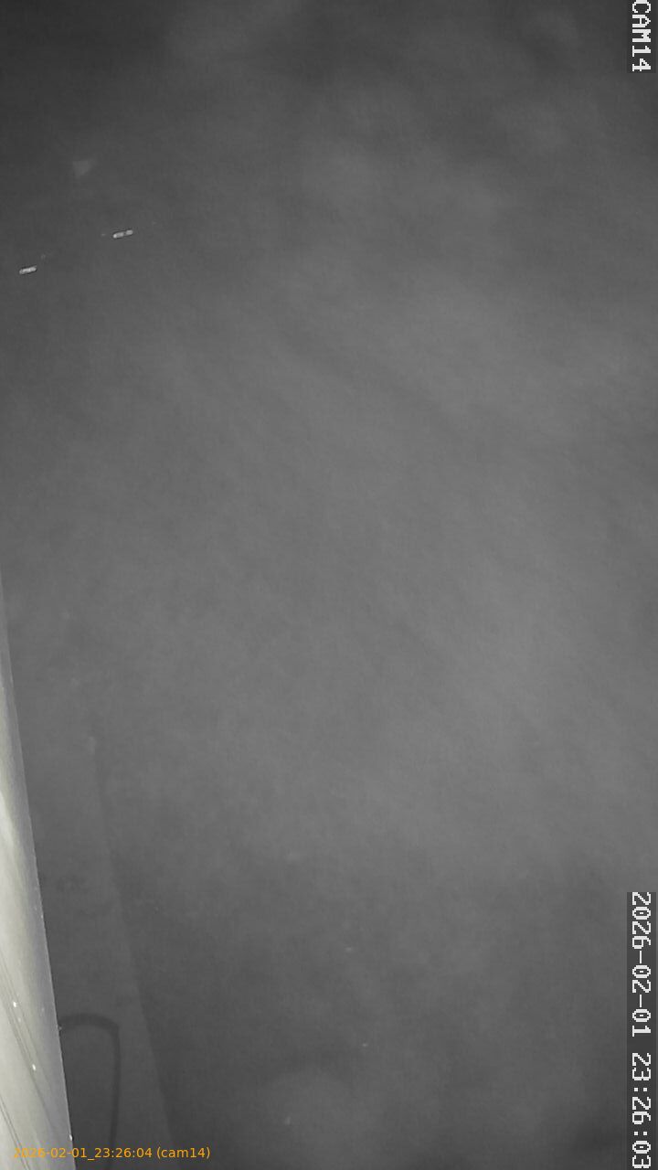 thumbnail_20260201232604