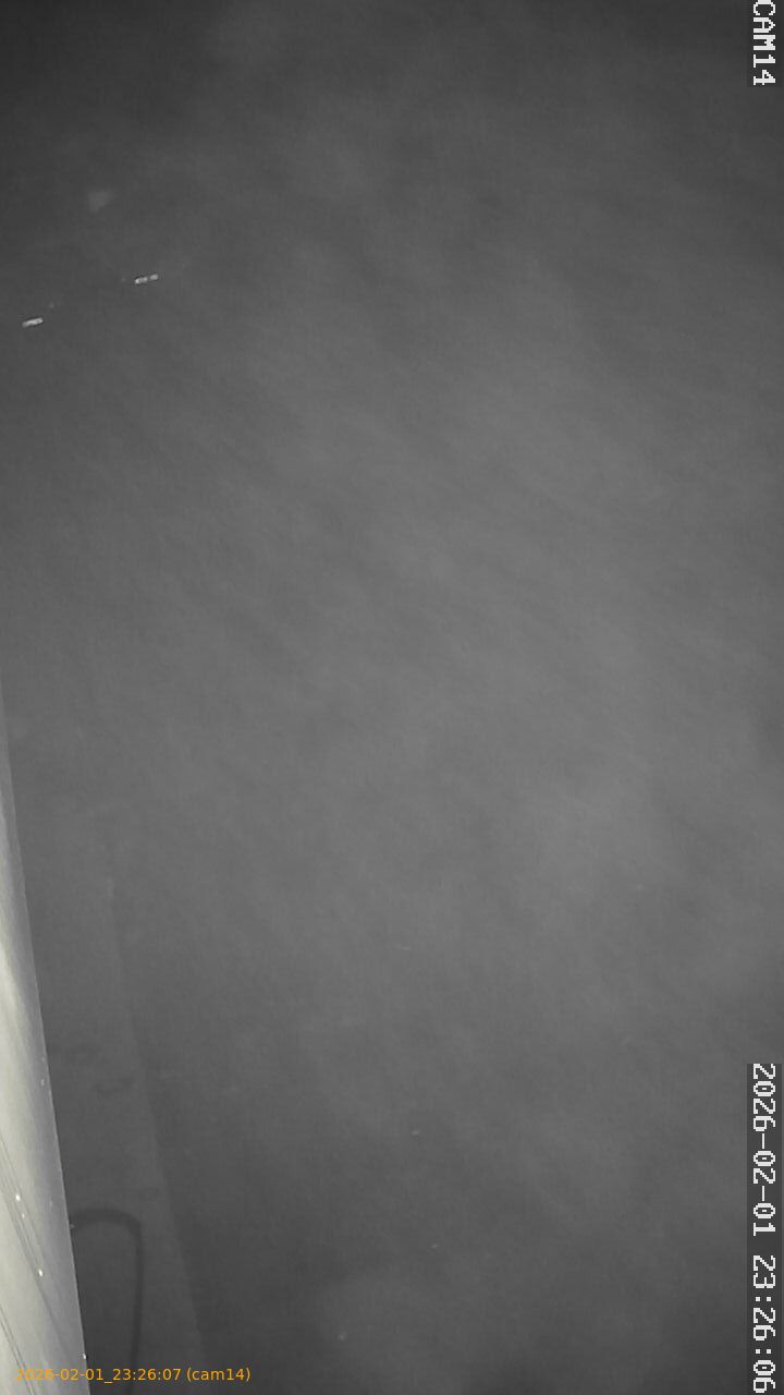 thumbnail_20260201232607