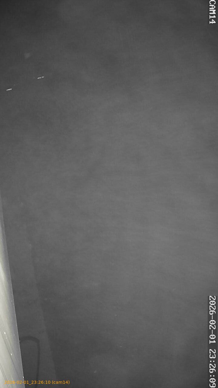 thumbnail_20260201232610