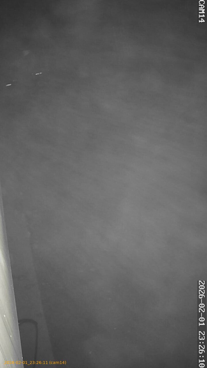 thumbnail_20260201232611