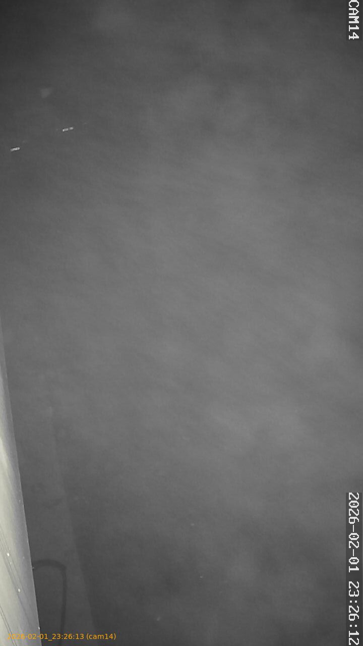 thumbnail_20260201232613