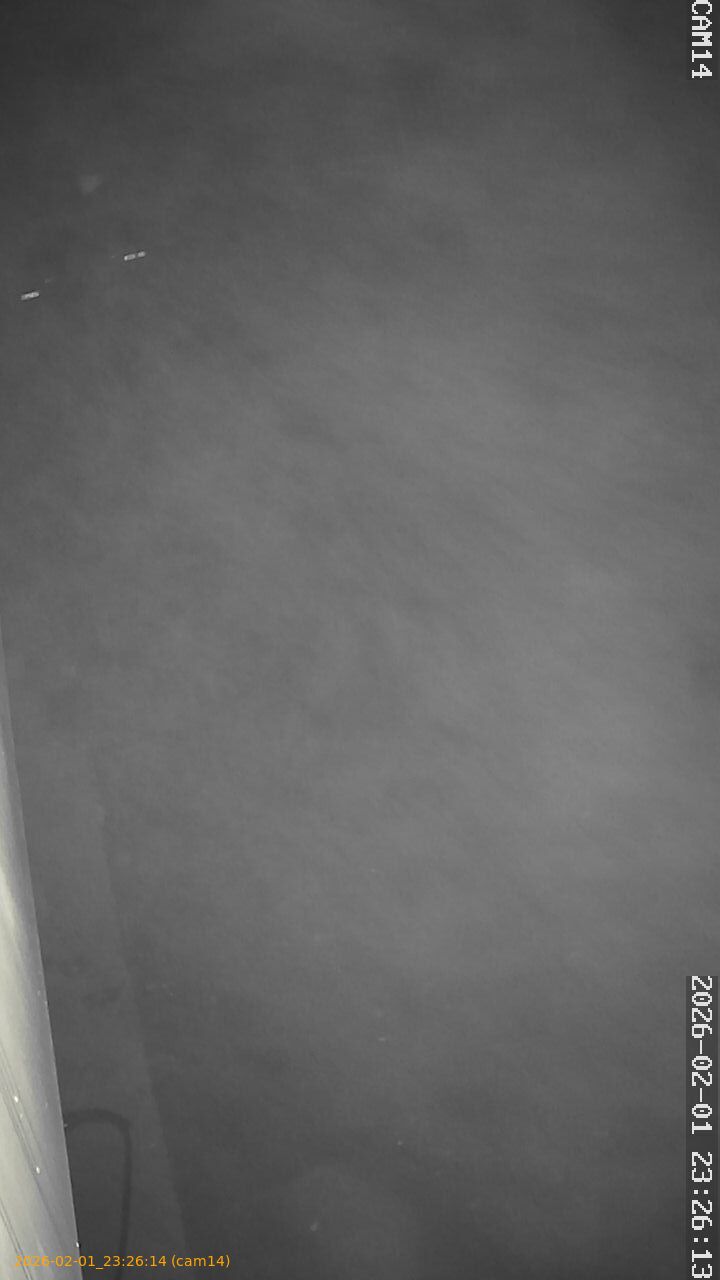 thumbnail_20260201232614