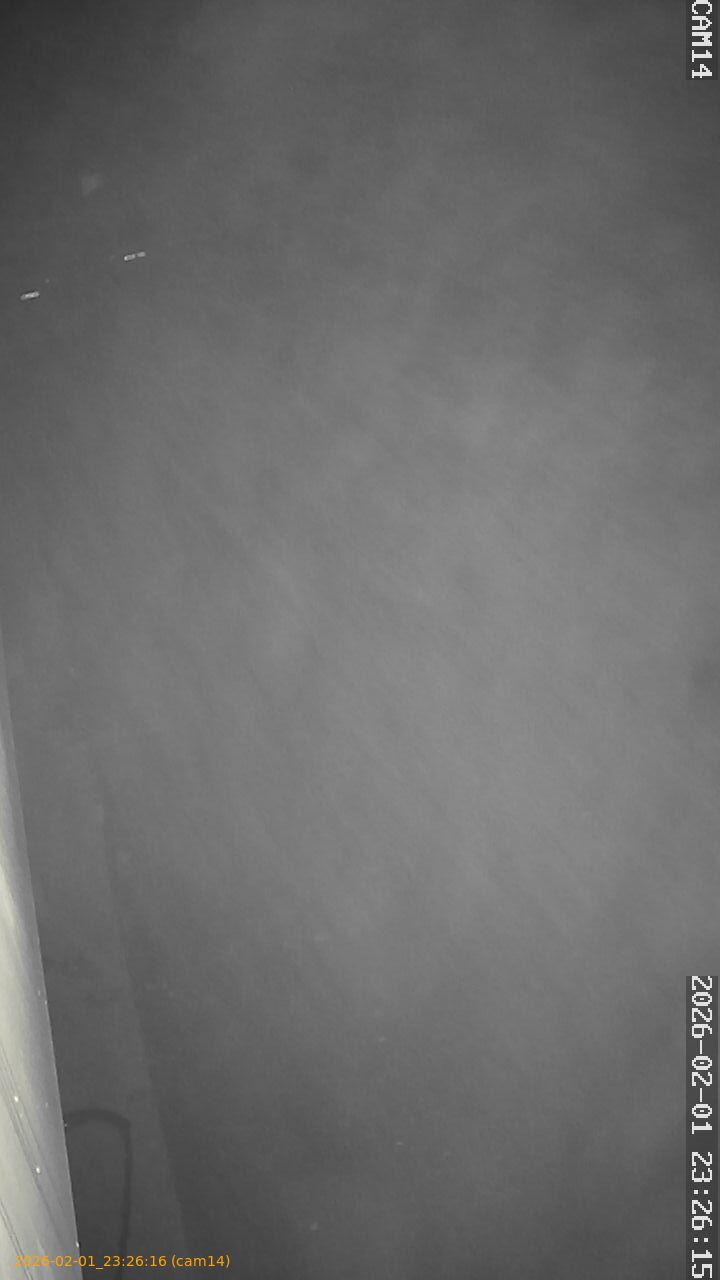 thumbnail_20260201232616