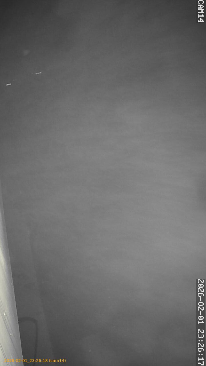 thumbnail_20260201232618