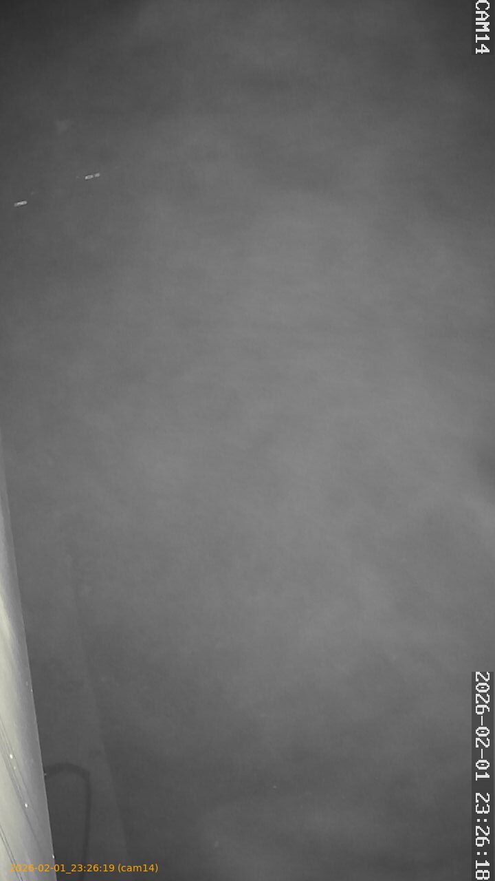 thumbnail_20260201232619