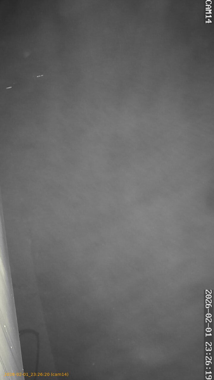 thumbnail_20260201232620