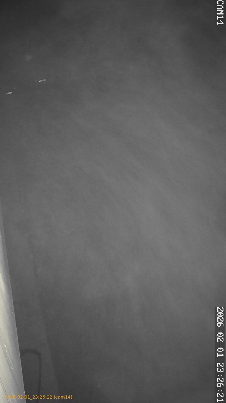 thumbnail_20260201232622