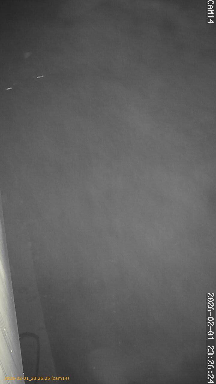 thumbnail_20260201232625