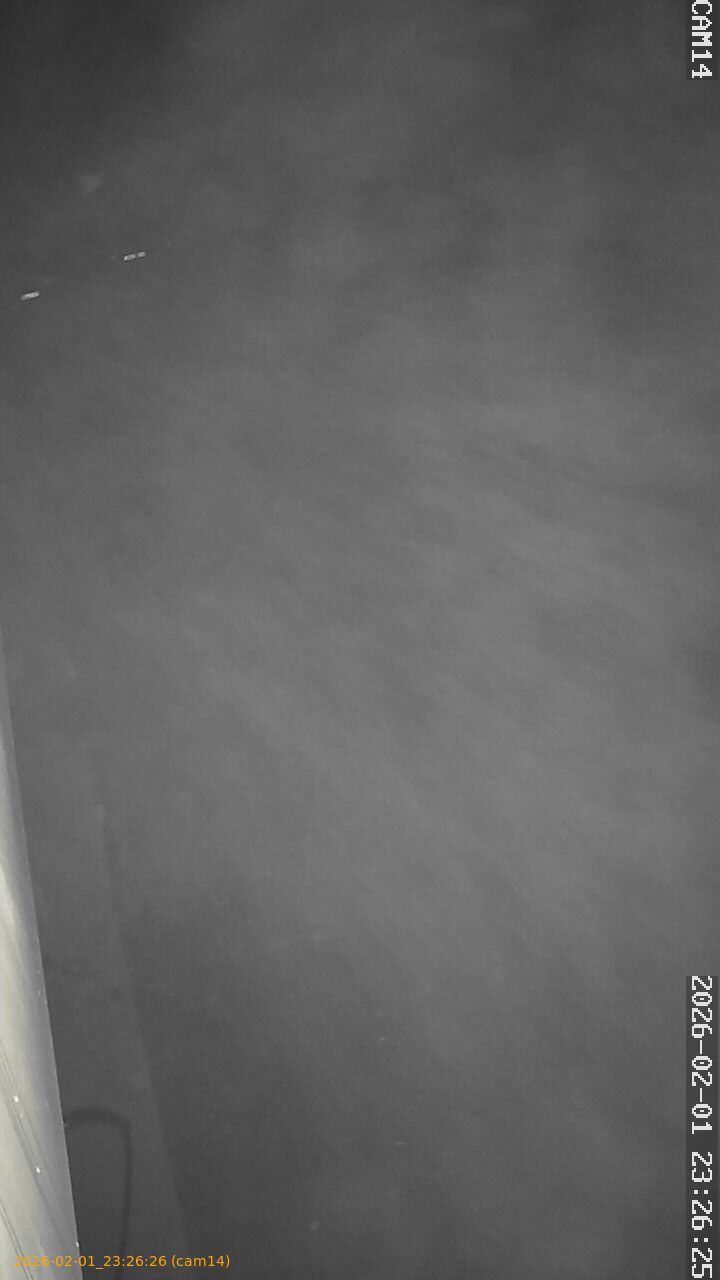 thumbnail_20260201232626