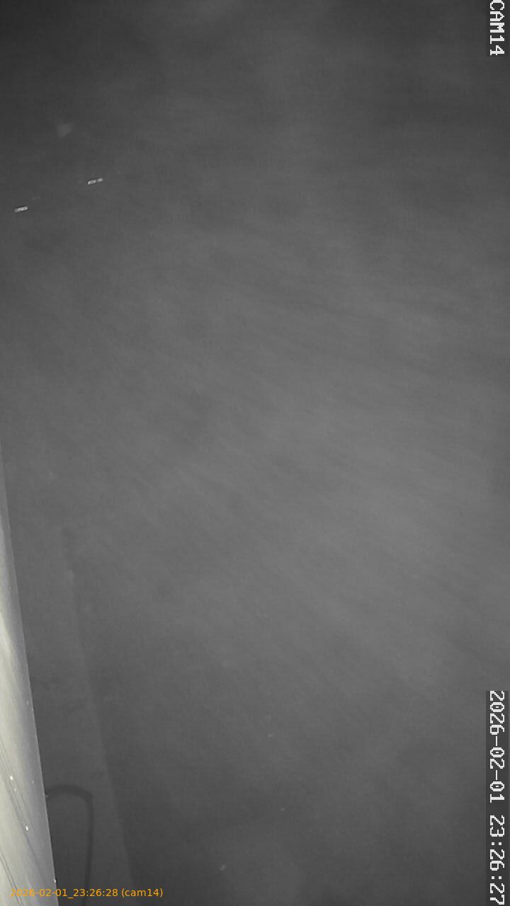 thumbnail_20260201232628