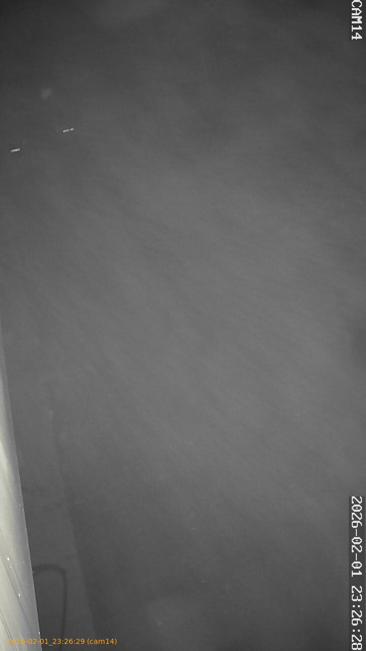 thumbnail_20260201232629