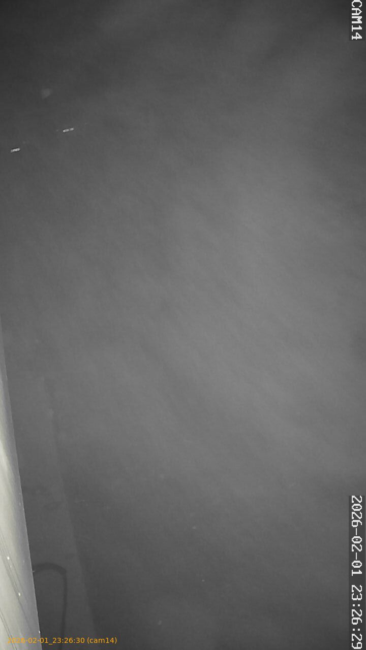 thumbnail_20260201232630