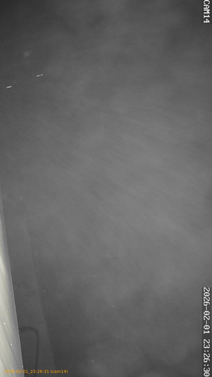 thumbnail_20260201232631