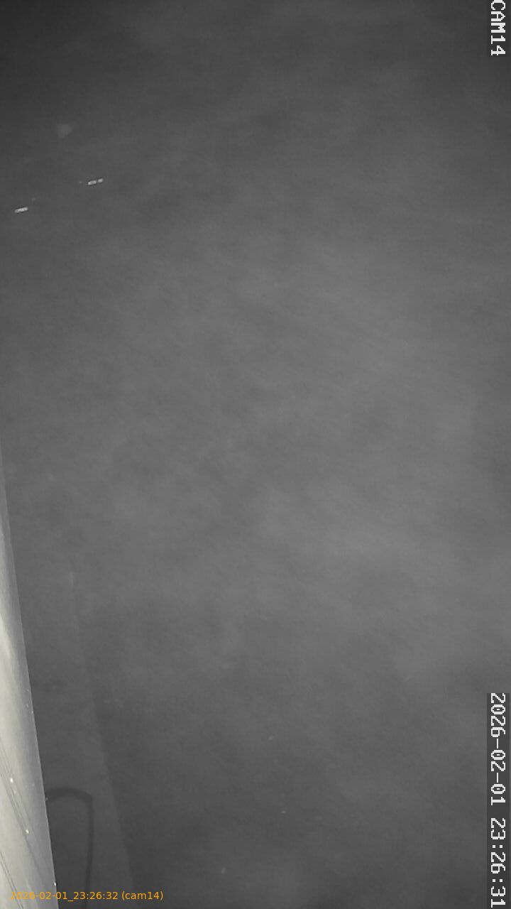 thumbnail_20260201232632