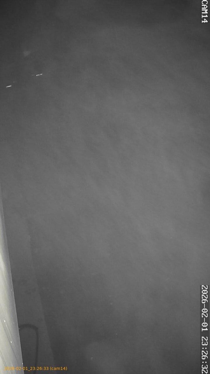 thumbnail_20260201232633