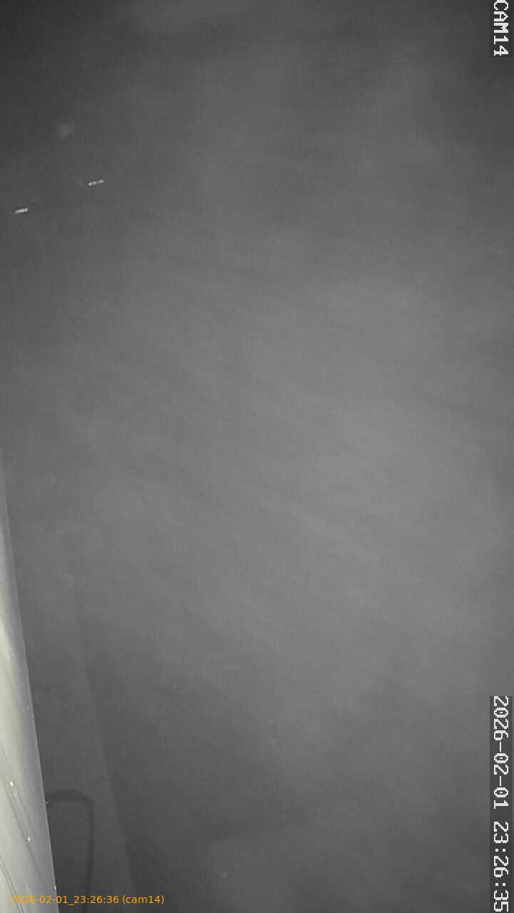 thumbnail_20260201232636