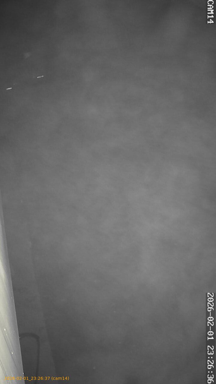 thumbnail_20260201232637