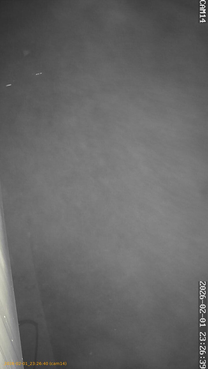 thumbnail_20260201232640