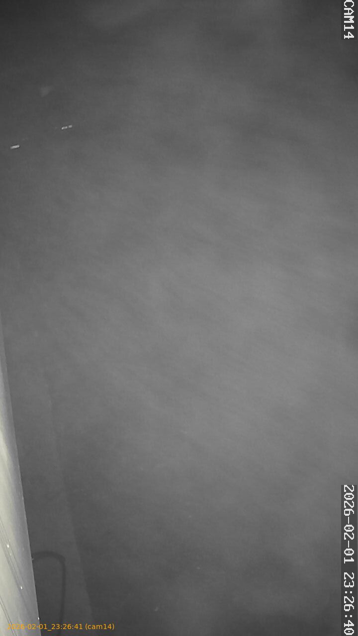 thumbnail_20260201232641