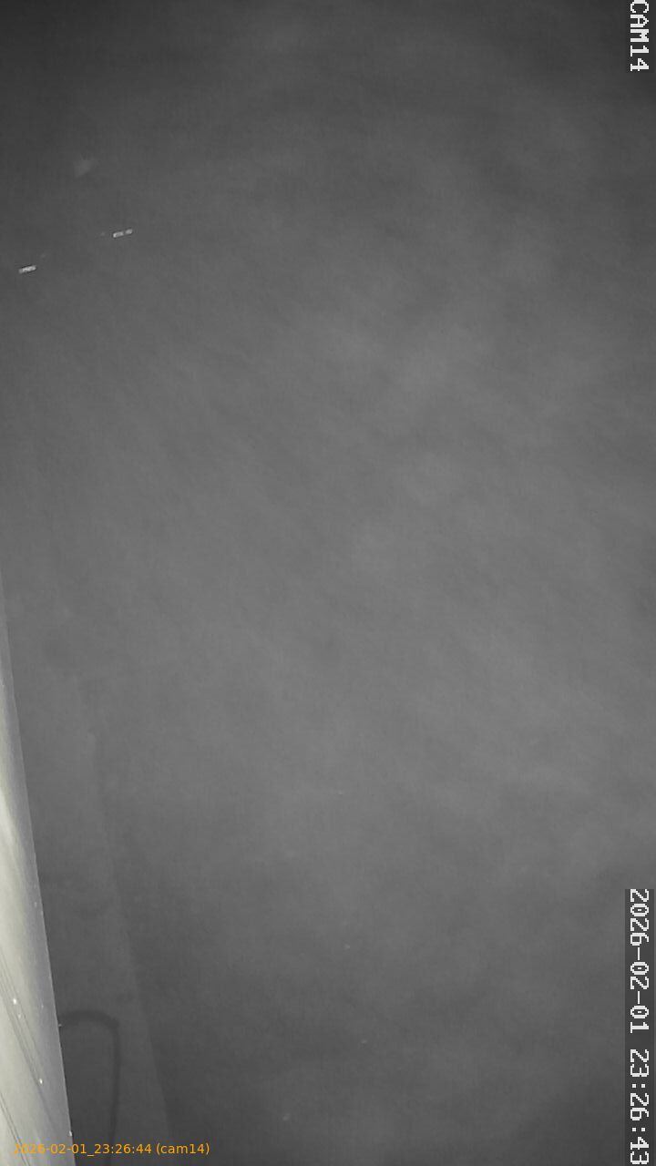 thumbnail_20260201232644