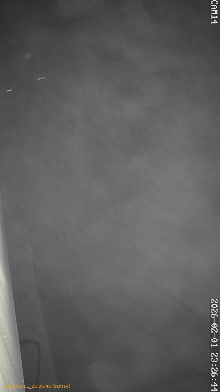 thumbnail_20260201232645