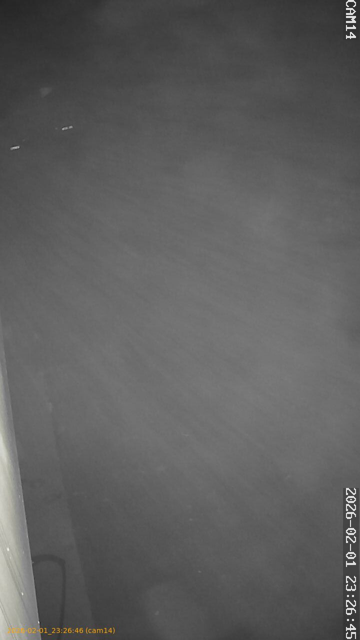 thumbnail_20260201232646