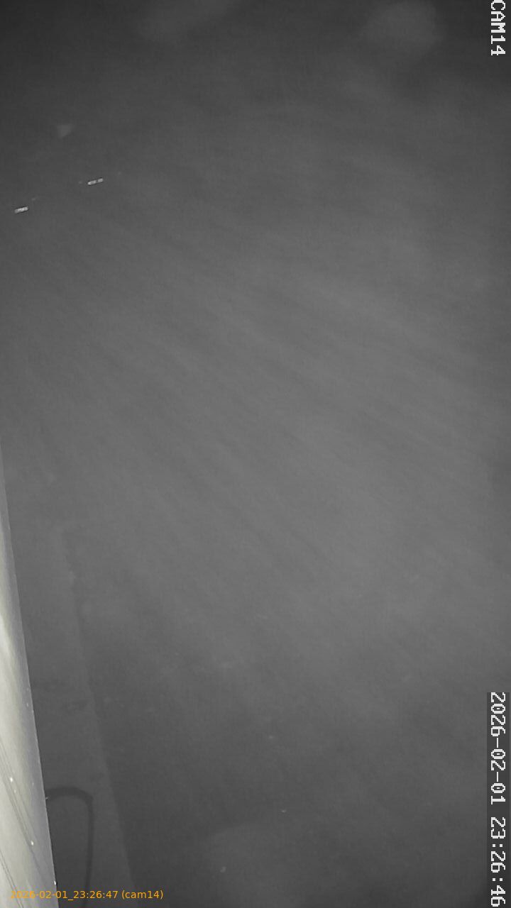 thumbnail_20260201232647