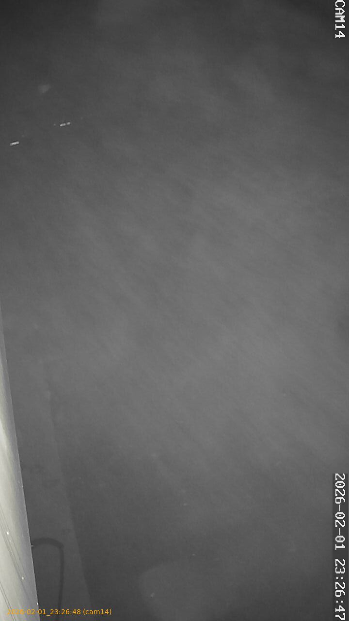 thumbnail_20260201232648