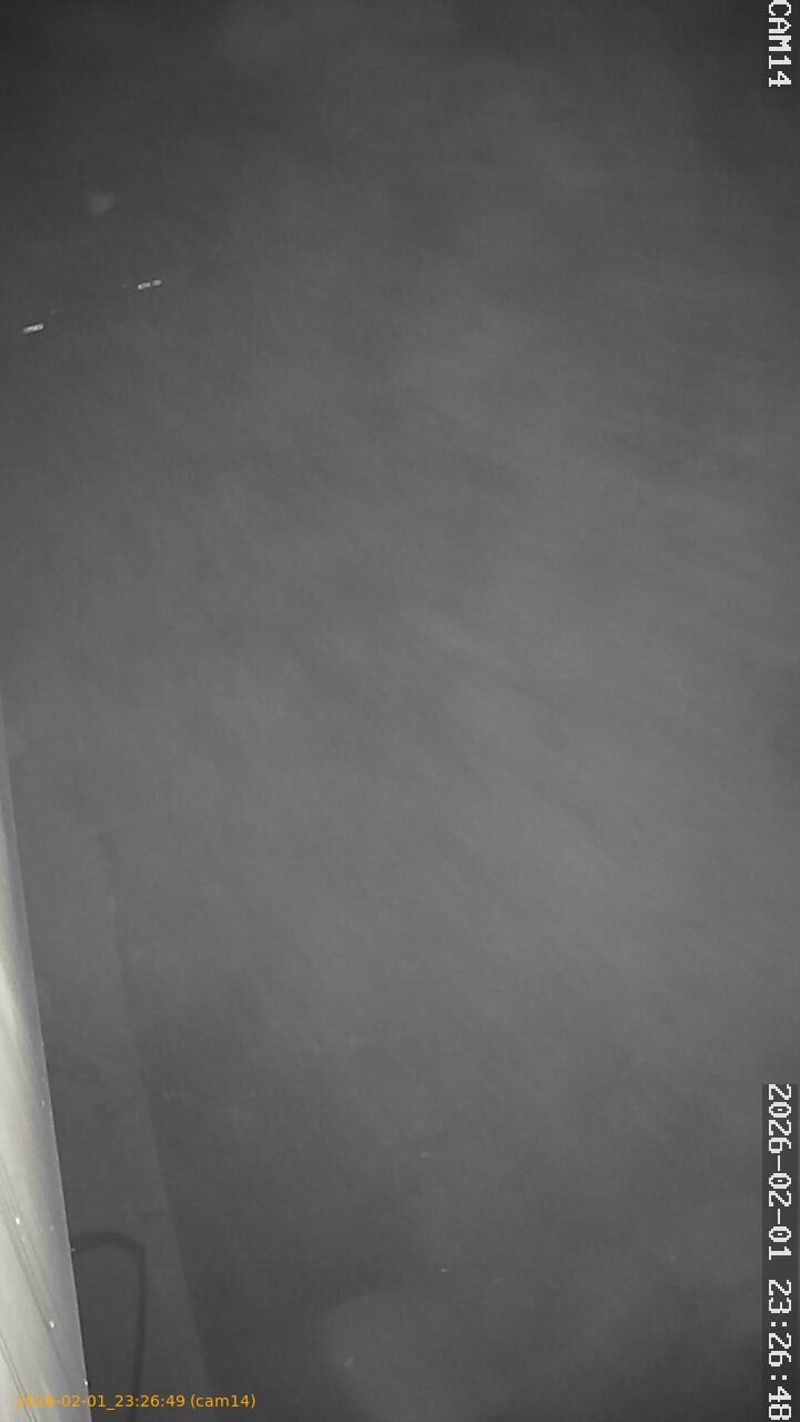 thumbnail_20260201232649