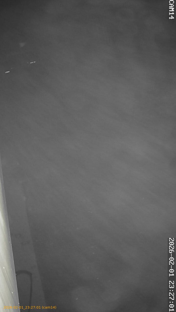 thumbnail_20260201232701