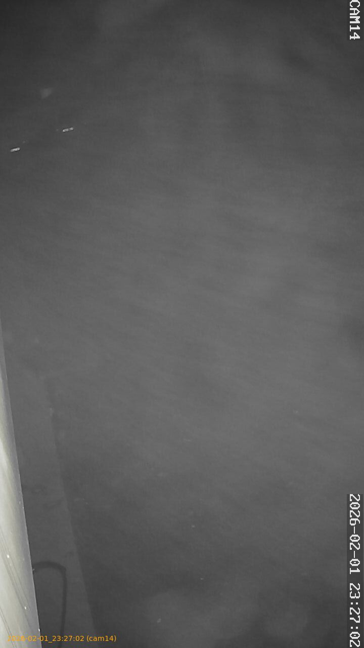 thumbnail_20260201232702