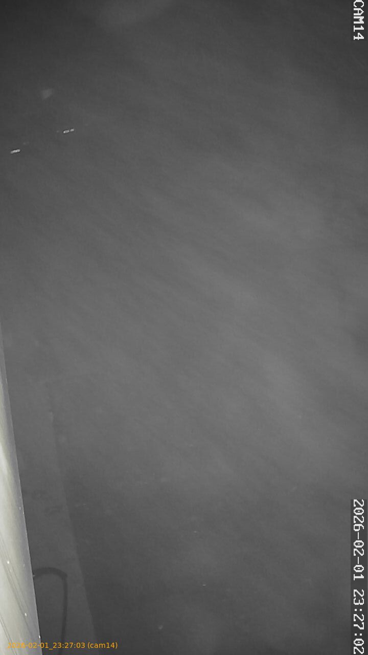 thumbnail_20260201232703