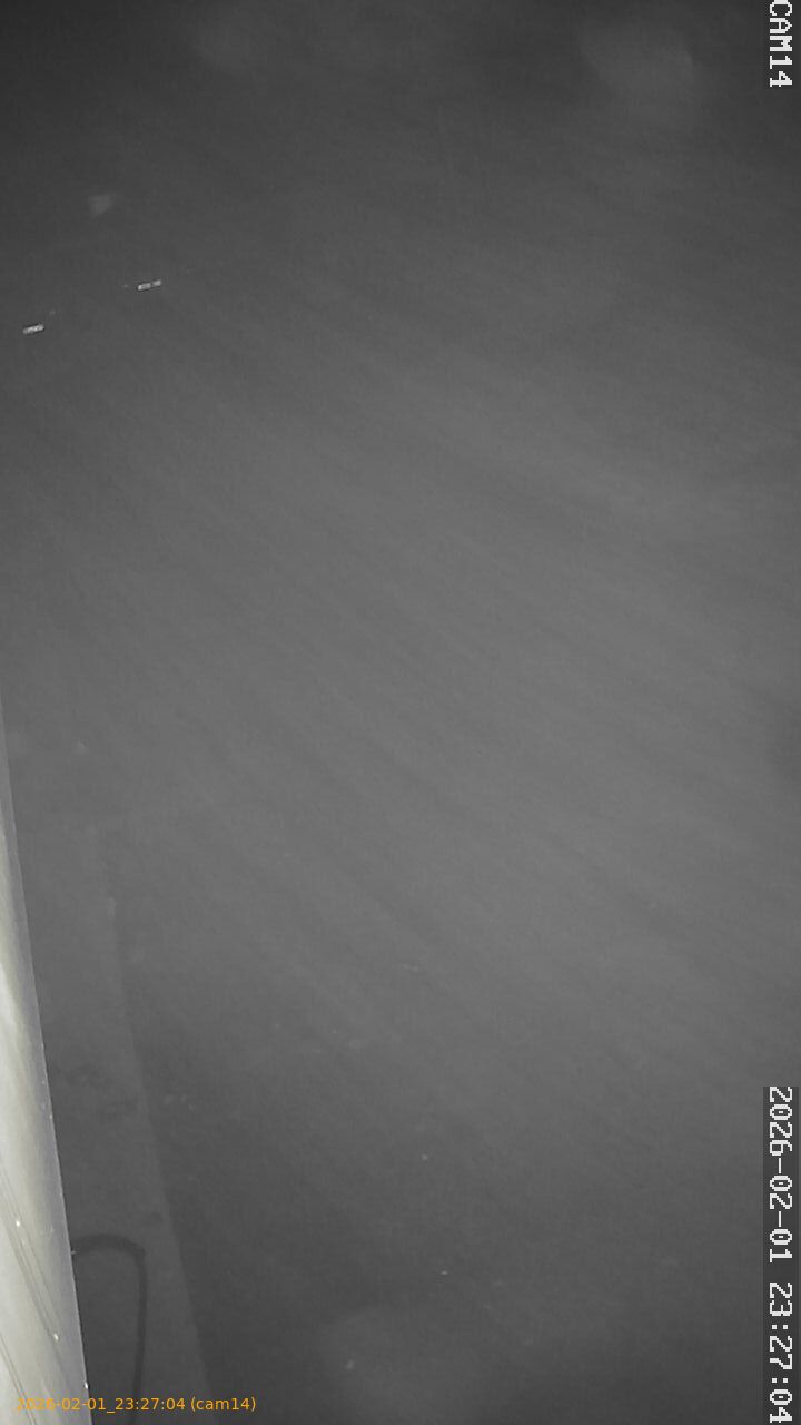 thumbnail_20260201232704