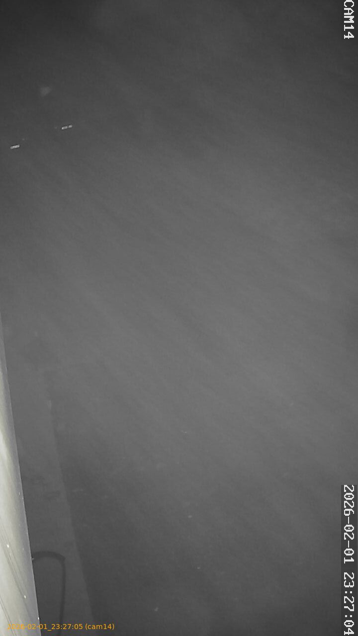 thumbnail_20260201232705