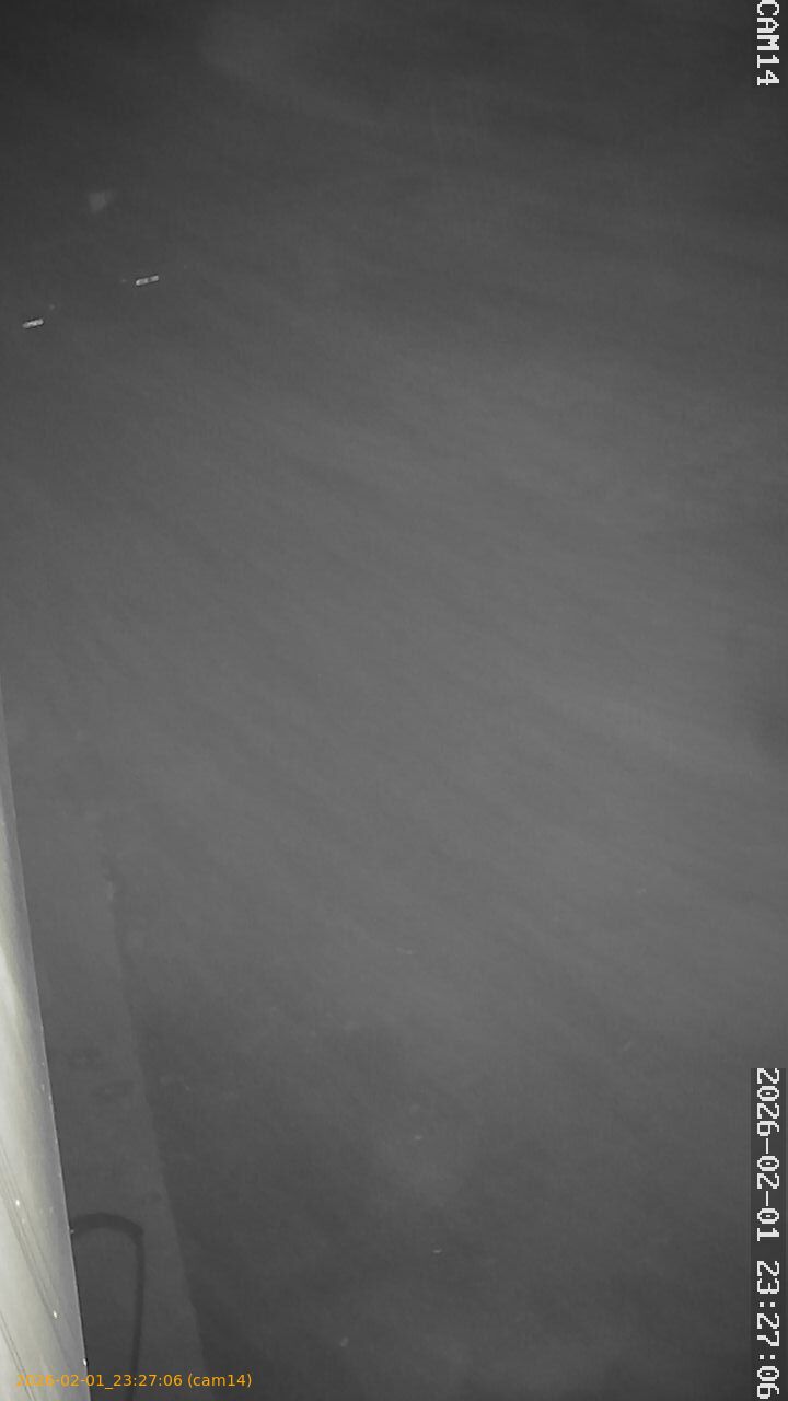 thumbnail_20260201232706