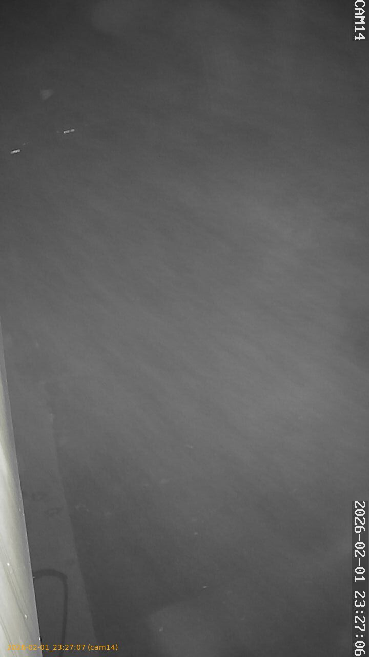 thumbnail_20260201232707