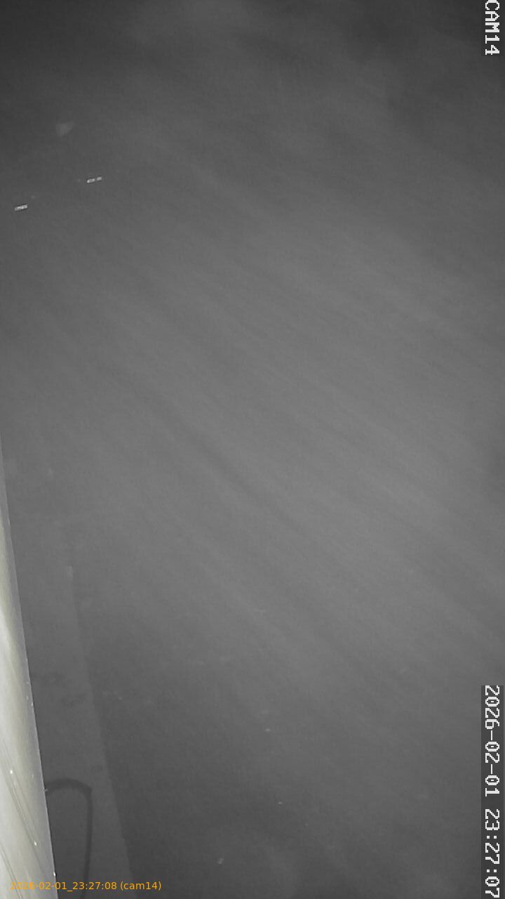 thumbnail_20260201232708