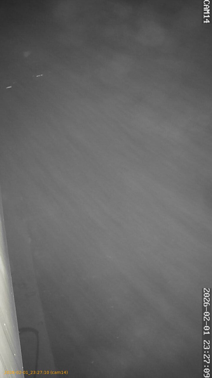 thumbnail_20260201232710