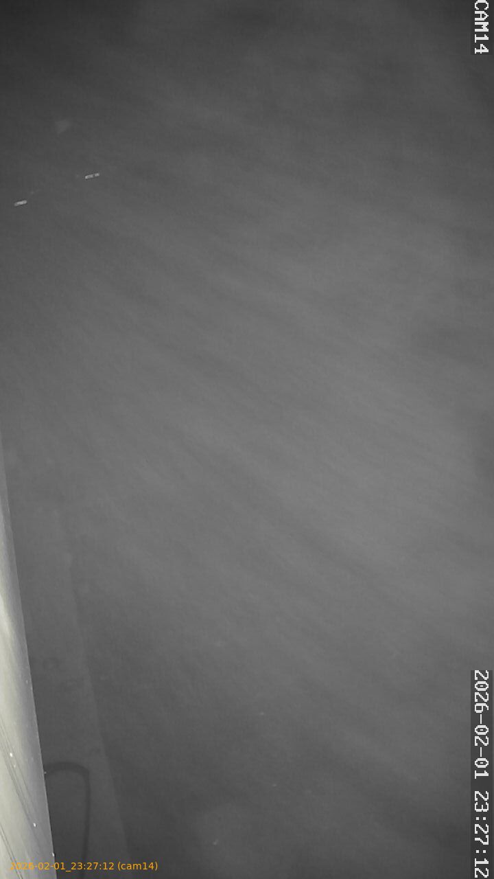 thumbnail_20260201232712