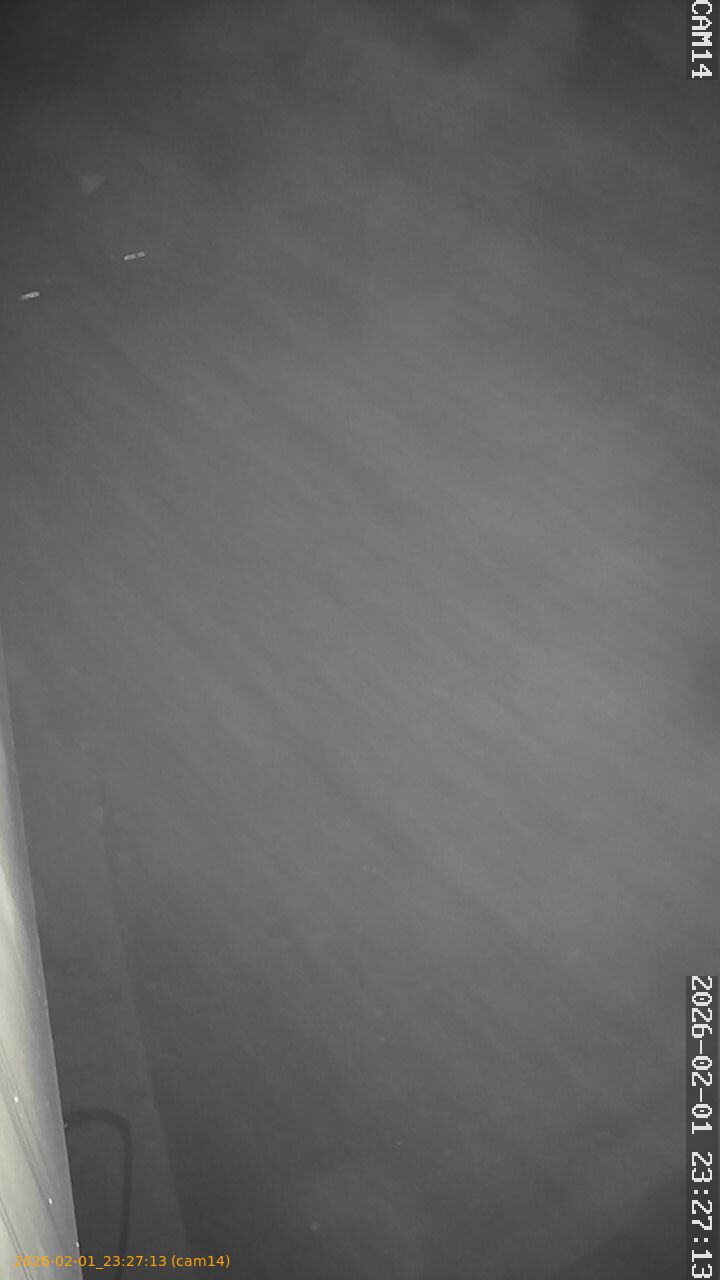 thumbnail_20260201232713