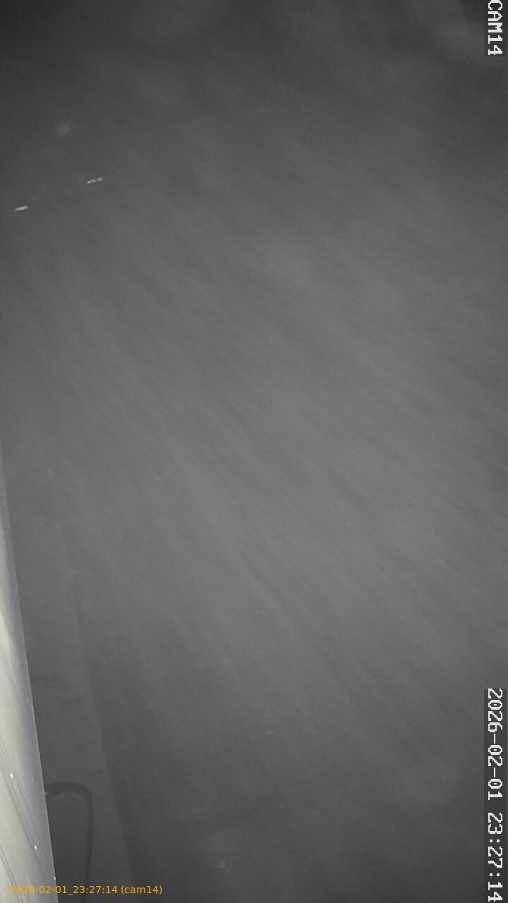 thumbnail_20260201232714