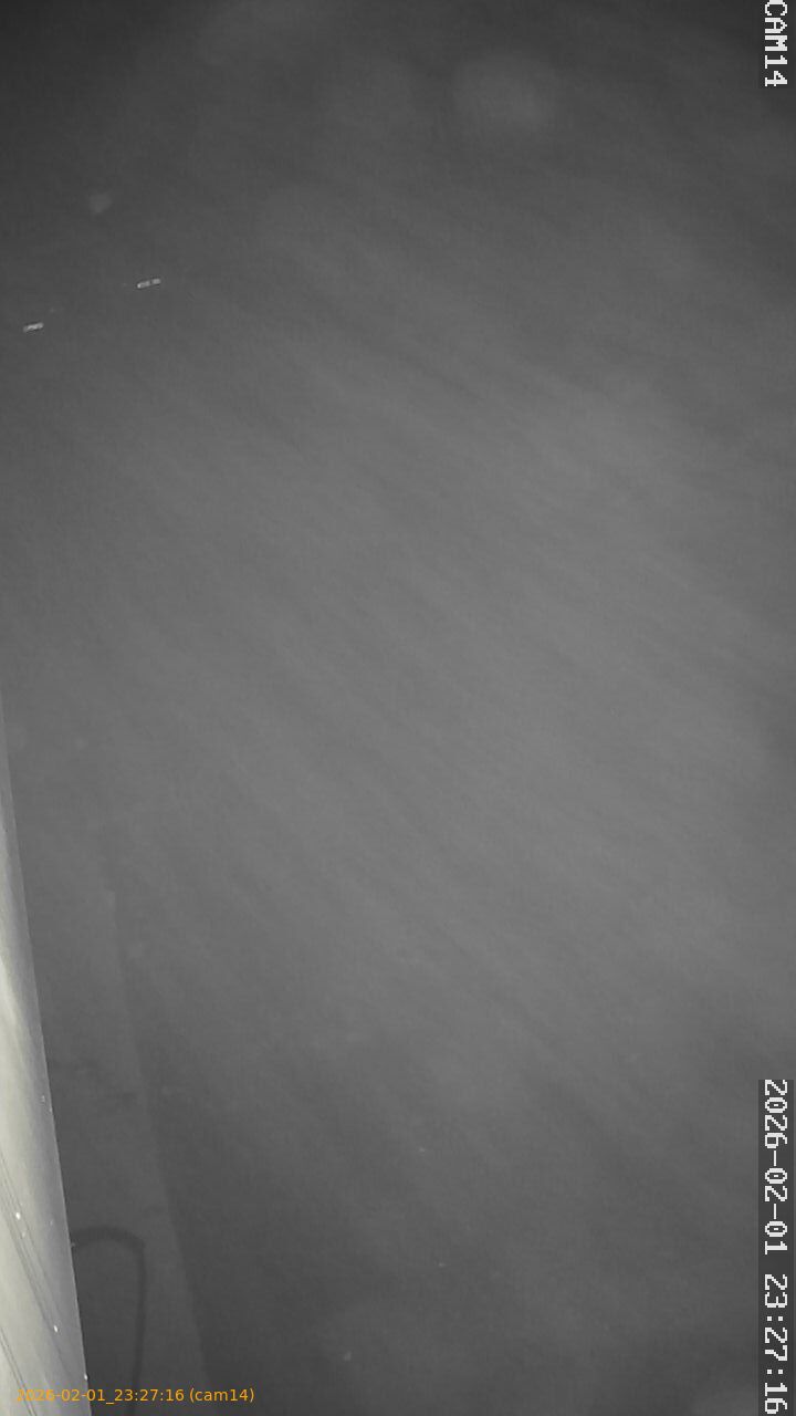 thumbnail_20260201232716