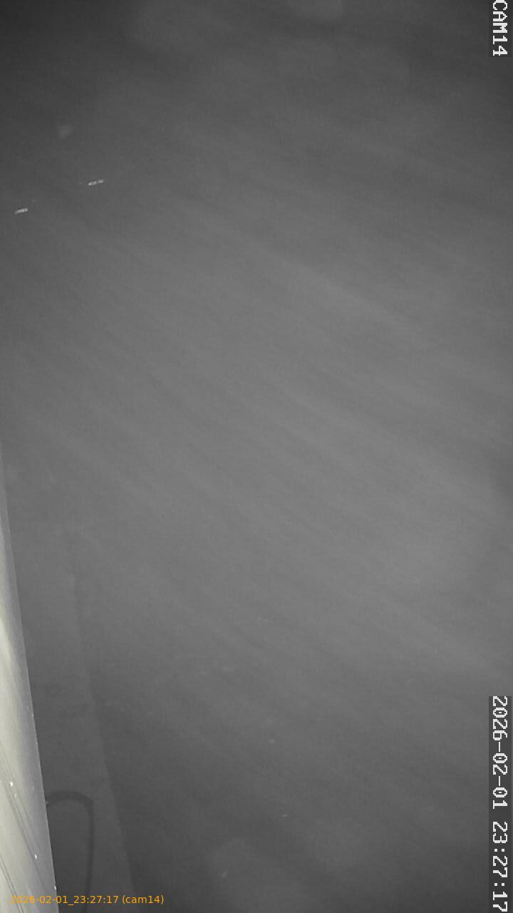 thumbnail_20260201232717