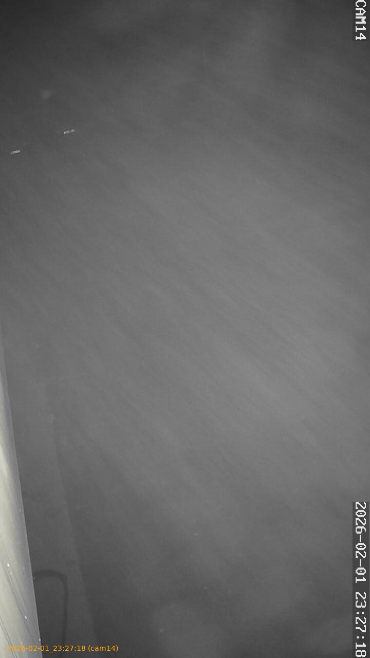 thumbnail_20260201232718