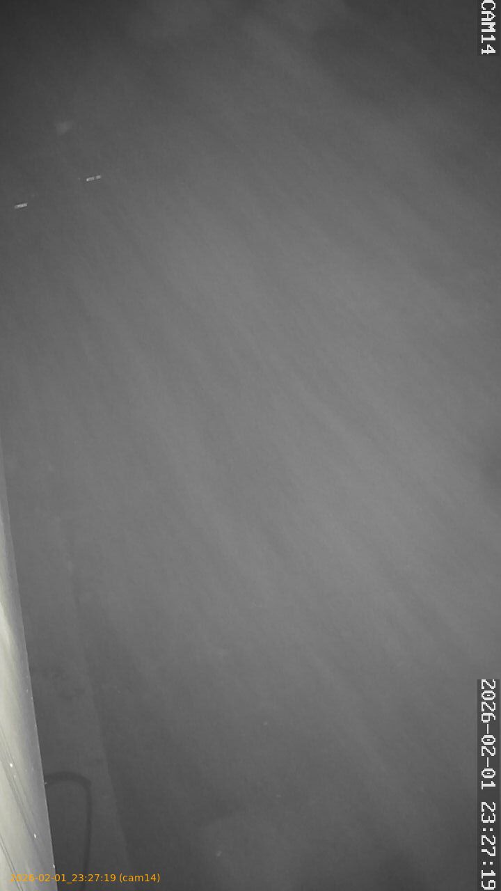 thumbnail_20260201232719